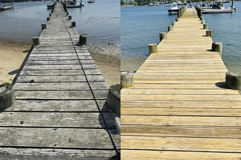 Algae on dock
