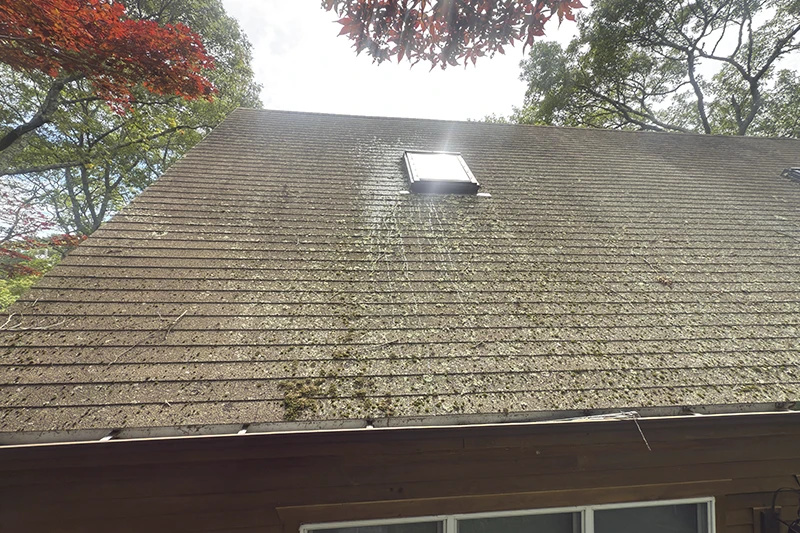 Dirty Roof