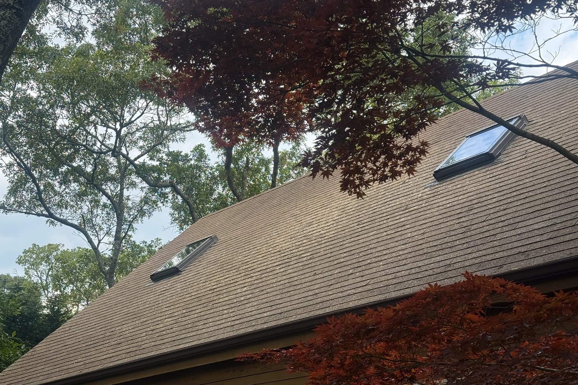 Clean Asphalt Roof on Martha's Vineyard